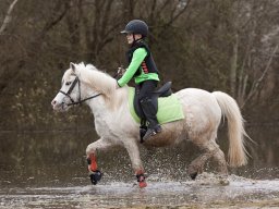 2016 TREC Træning 16 april